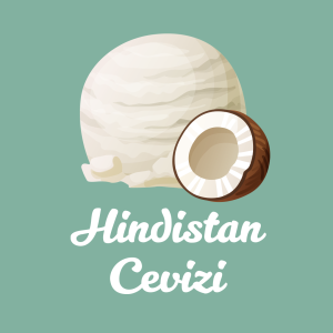 Hindistan Cevizi Dondurma (Vegan)
