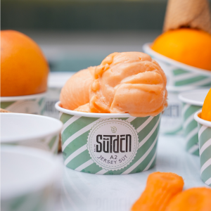 Limonlu Kuzu Kulağı Dondurması