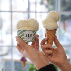 Lime Limonlu Yoğurt Dondurma